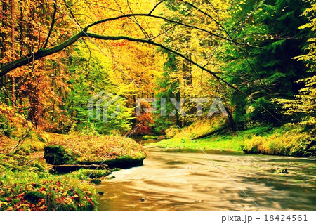 Autumn mountain river. Fresh green mossy stones Autumn mountain river. Fresh green mossy stones 18424561