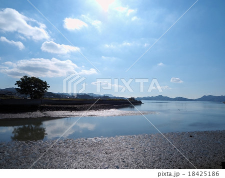 松永湾・柳津(ヤナイヅ)の干潟と青い空 松永湾・柳津(ヤナイヅ)の干潟と青い空 18425186