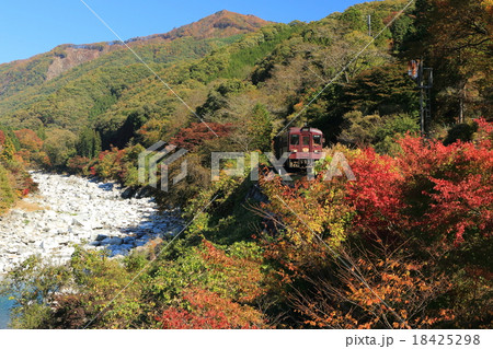 わたらせ渓谷鐵道「沢入周辺の紅葉風景と渡良瀬川」 18425298