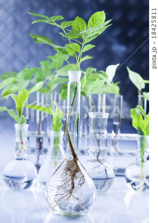 Laboratory, bio organic modern concept Laboratory, bio organic modern concept 18425811