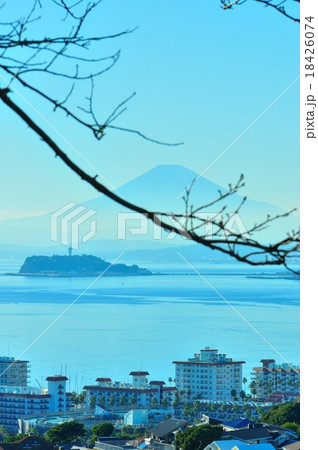 披露山公園からの富士 18426074