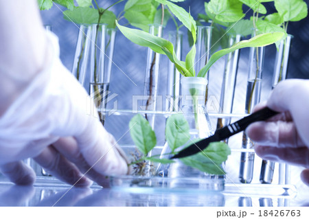 Chemical laboratory glassware, bio organic  Chemical laboratory glassware, bio organic  18426763