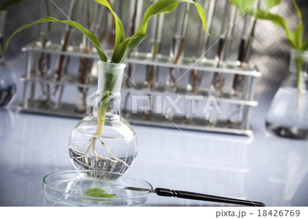 Chemical laboratory glassware, bio organic Chemical laboratory glassware, bio organic 18426769