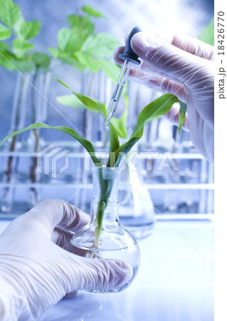 Chemical laboratory glassware, bio organic Chemical laboratory glassware, bio organic 18426770