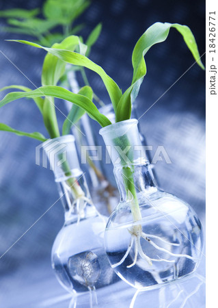Chemistry equipment, plants laboratory Chemistry equipment, plants laboratory 18426771