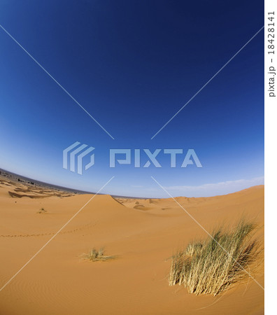 Dunes in Moroccan Sahara, colorful vibrant travel  18428141