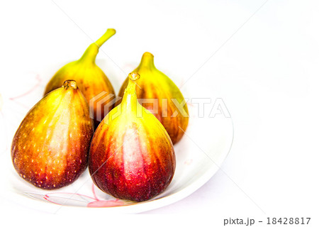イチジク 18428817