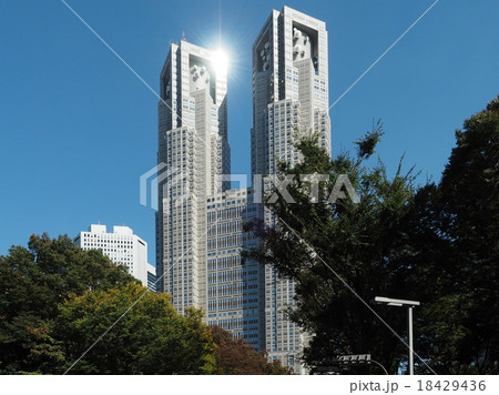 光を受ける東京都庁 18429436