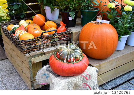 ハロウーンかぼちゃ 18429765