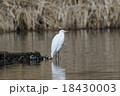 サギ 18430003