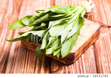 Fresh wild garlic Fresh wild garlic 18431784