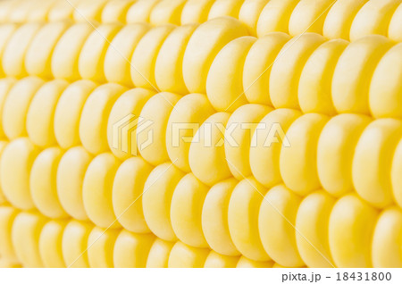 macro shot of ripe corn grains 18431800