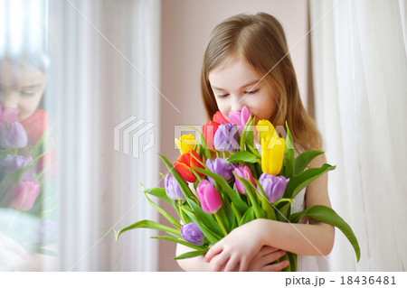 Adorable little girl holding tulips by the window Adorable little girl holding tulips by the window 18436481