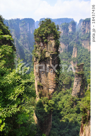 scene of rock mountain in Zhangjiajie National Forest Park,Hunan 18437436