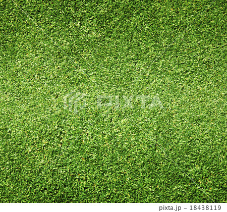 Beautiful green grass texture Beautiful green grass texture 18438119