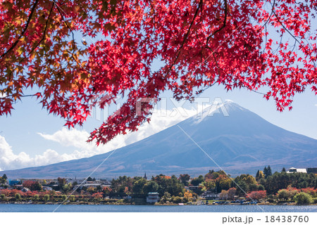 富士山　紅葉　河口湖 18438760