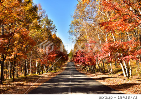 メルヘン街道の紅葉 18438773