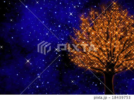 星空と樹木のイルミネーション 18439753