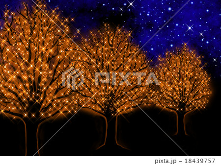 星空と樹木のイルミネーションのイラスト素材