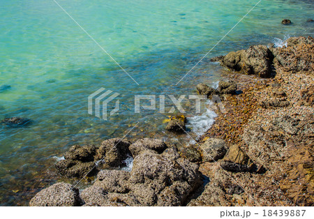 Close up Stone and green sea 18439887