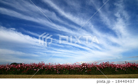 雲 雲 18440437