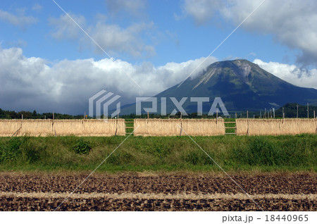 鳥取県大山　秋 18440965