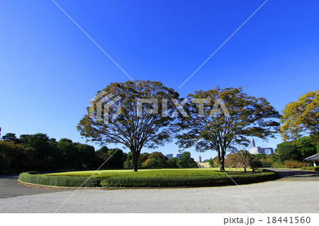 江戸城 本丸跡 江戸城 本丸跡 18441560