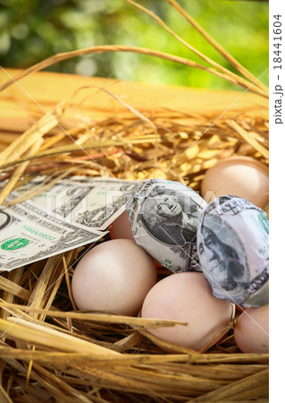 dollar Banknote in nest eggs, Growing of business  18441604