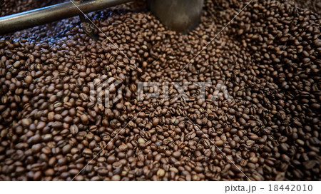 Freshly roasted coffee beans Freshly roasted coffee beans 18442010