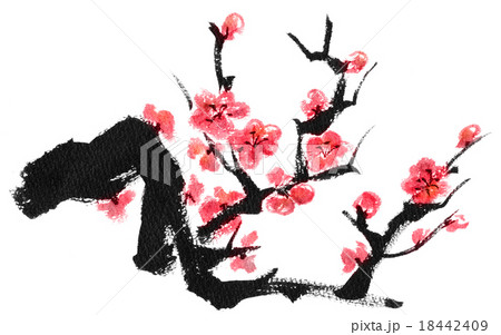 梅の木 紅梅 のイラスト素材