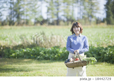 野菜かごを持つ女性 18442729