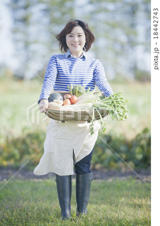 野菜かごを持つ女性 18442743