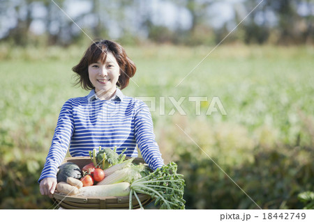 野菜かごを持つ女性 18442749