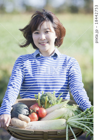 野菜かごを持つ女性 野菜かごを持つ女性 18442753