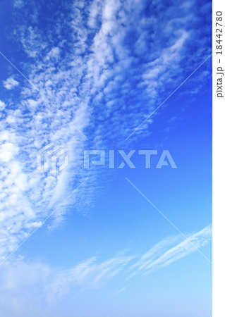 青空 18442780