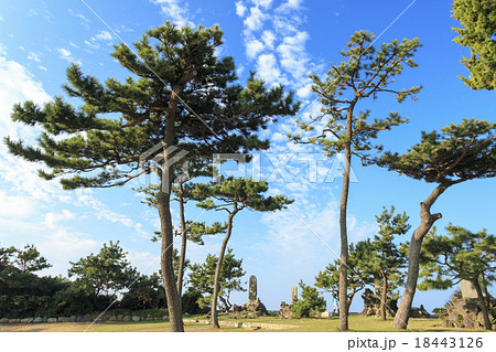 秋晴れの森戸神社 18443126