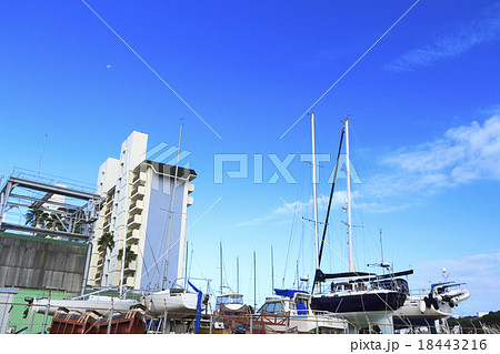 小網代湾の秋 小網代湾の秋 18443216