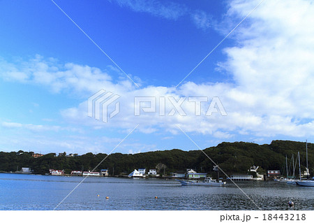 小網代湾の秋 小網代湾の秋 18443218