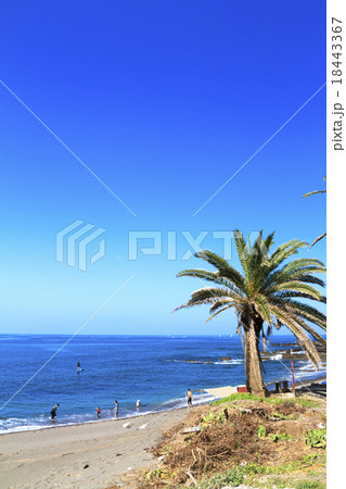 三戸浜の秋 三戸浜の秋 18443367