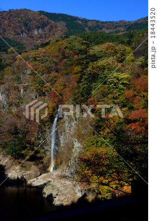 回顧の滝　 18443520