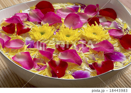 水に浮かぶ花 水に浮かぶ花 18443983