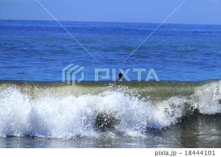 秋のサーフィン 18444101