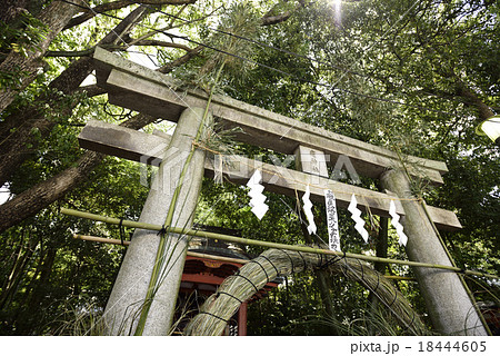 八坂神社 夏越の大祓 八坂神社 夏越の大祓 18444605