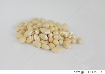 大豆 18445304