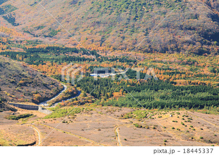 くじゅう連山の麓 牧ノ戸峠の紅葉 くじゅう連山の麓 牧ノ戸峠の紅葉 18445337