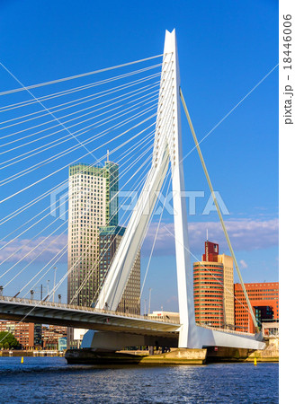 View of Erasmus Bridge in Rotterdam, Netherlands 18446006
