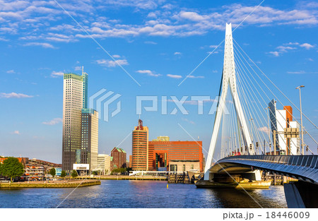 View of Erasmus Bridge in Rotterdam, Netherlands View of Erasmus Bridge in Rotterdam, Netherlands 18446009