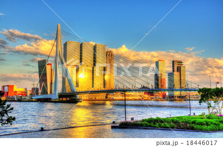 Erasmus Bridge in Rotterdam - Netherlands 18446017
