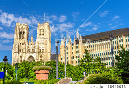 The Cathedral of St. Michael and St. Gudula The Cathedral of St. Michael and St. Gudula 18446058