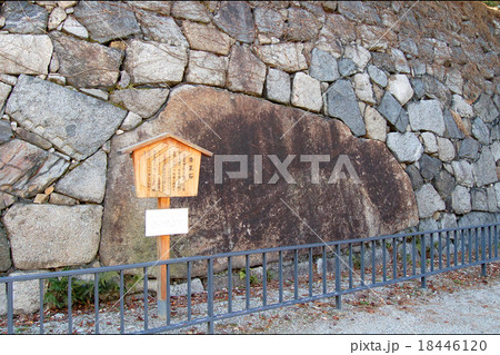 名古屋城 18446120